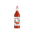 Monin Watermelon Syrup