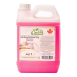 Go green Anti Bacterial Hand Soap Gel