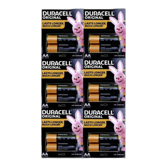 Duracell Device AA Batteries