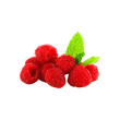 التوت الطازج